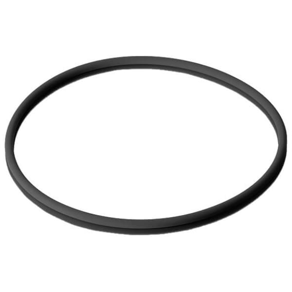 O-Ring FPM 75 Shore (Viton) - Reactor accessories > Seals and Holders for Flat Flanges > O-Rings & Flat Seals